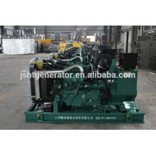 Wudong diesel Generator equiped with NENJO alternator price